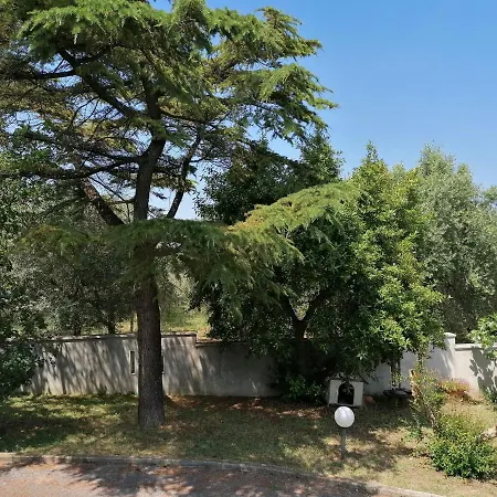 Villa Margherita Porto Sant'Elpidio Exterior photo