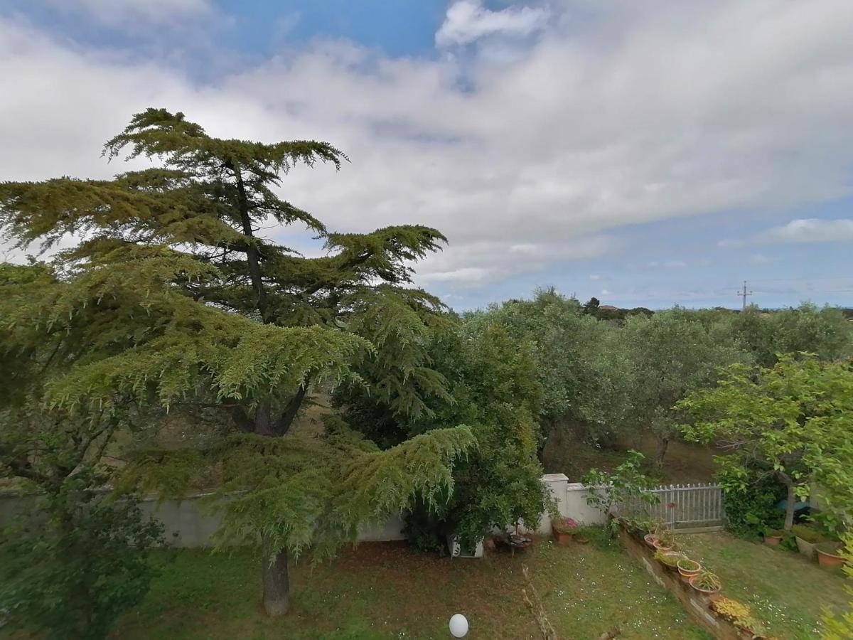 Apartment Margherita Porto SantʼElpidio