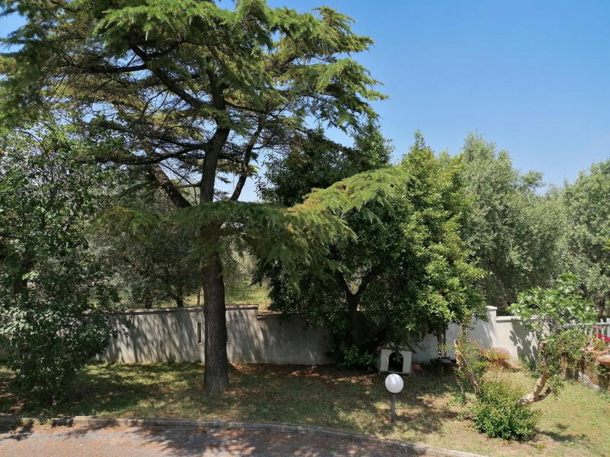 Margherita Apartment Porto Sant'Elpidio